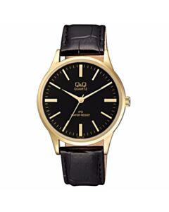 Men's Wrist Watch Q&Q C214J102Y