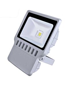 Meanwell draiveriga LED prožektor 100 W