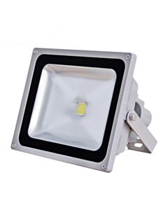 Külma valgusega 50 W LED prožektor MeanWell draiveriga