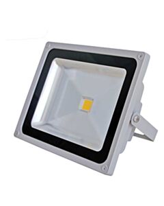 Valge valgusega 50 W Epiled LED prožektor