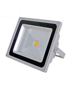 Külma valgusega 50 W LED prožektor