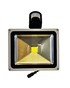 LED Floodlight PFL30P with PIR sensor